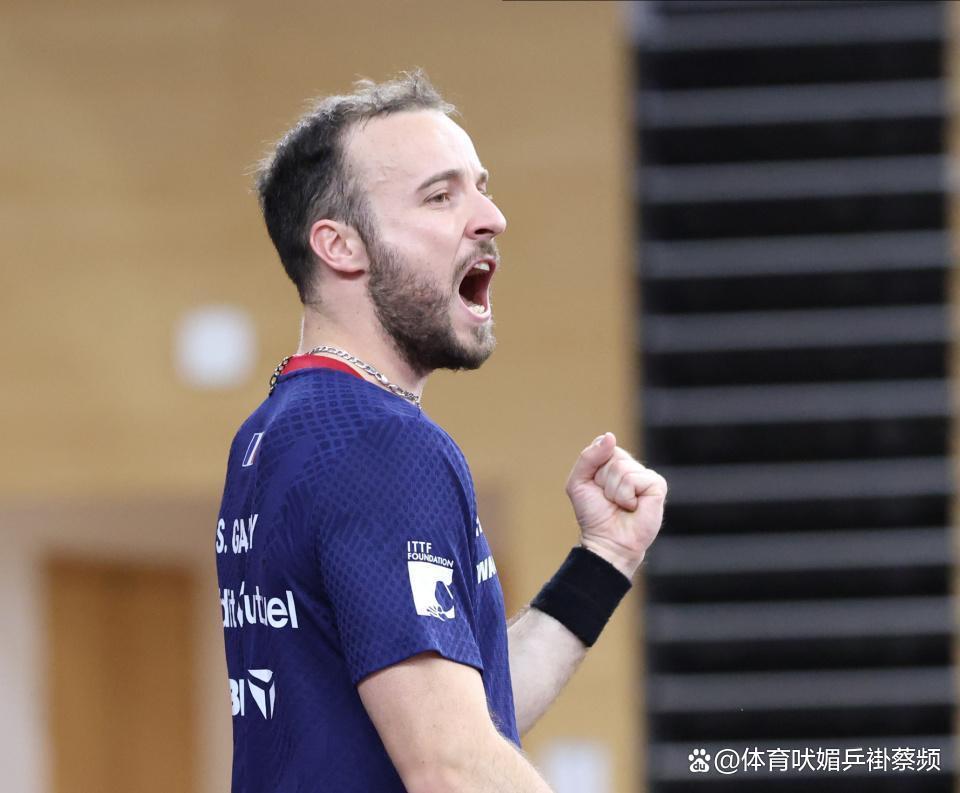 法国队翻盘瑞典队，林高远点燃赛场